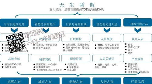 旭輝衢州萬達(dá)東項(xiàng)目策略提報(bào) 項(xiàng)目策劃與公關(guān)服務(wù)