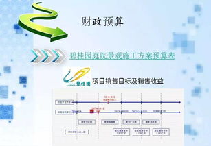 碧桂園項目策劃與公關服務 創新實踐與策略解析